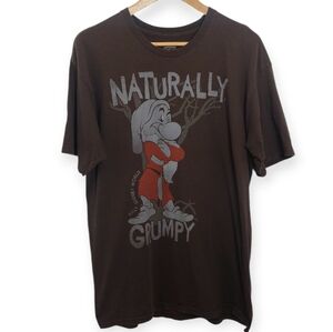 Disneyland Men's Size Large Shirt Grumpy Dwarf Brown Graphic Tee Top